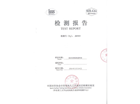 检测报告